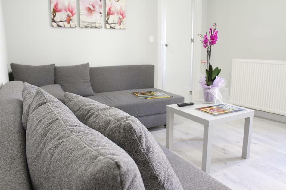 Apartamentos Logrono Centro Buitenkant foto